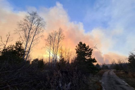 27 yaşlı gənc Çernobıl ətrafındakı meşəni yandırdı - Bölgədəki radiasiya səviyyəsi 16 dəfə artdı (FOTOLAR)
