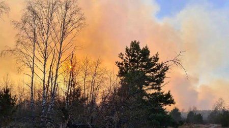 27 yaşlı gənc Çernobıl ətrafındakı meşəni yandırdı - Bölgədəki radiasiya səviyyəsi 16 dəfə artdı (FOTOLAR)
