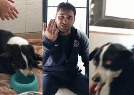 “Yardım”, yoxsa dövləti gözdənsalma kampaniyası... — Vətəndaşları hökumətə qarşı qaldıranlar kimlərdir?!