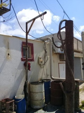 Abşeronda heyvan kəsimi və satışı yerlərində reyd keçirilib