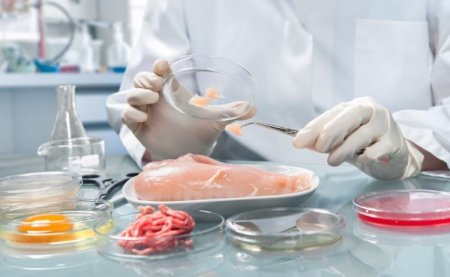 Qida Təhlükəsizliyi Agentliyinin vəzifələri artırılıb