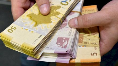 Daha 25 min işsizə birdəfəlik vəsait ödənildi