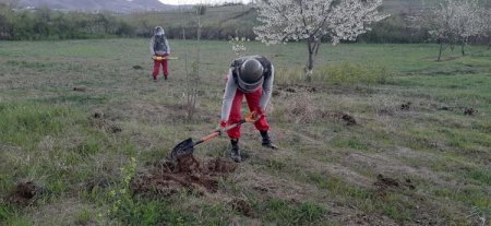 Tovuzda partlamış top mərmisinin qalıqları aşkar olunub