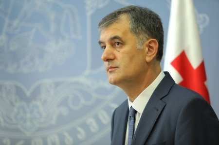 Gürcüstan baş nazirinin müşaviri Marneulidəki etirazlara münasibət bildirdi