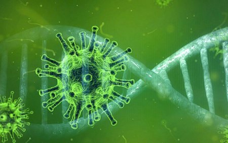 Koronavirus insult və epilepsiyaya səbəb ola bilər - Alimlərdən daha bir araşdırma