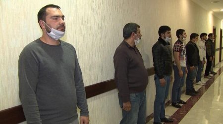 Saxta arayış satan şirkət rəhbəri tutuldu