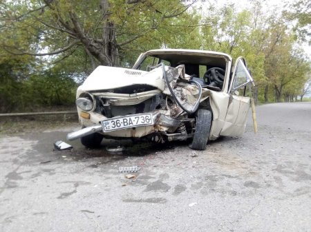 Oğuzda avtomobil ağaca çırpıldı, xəsarət alanlar var