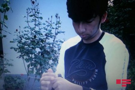 Göyçay sakininin həyətinə nadir Əbabil quşu düşüb - FOTO