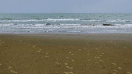 Qazaxıstan sərhədçilərinin öldürdüyü vətəndaşımızın meyiti təhvil verildi