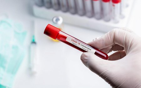 Epidemiyanın başladığı ölkədə koronavirus riski olan bölgə qalmadı