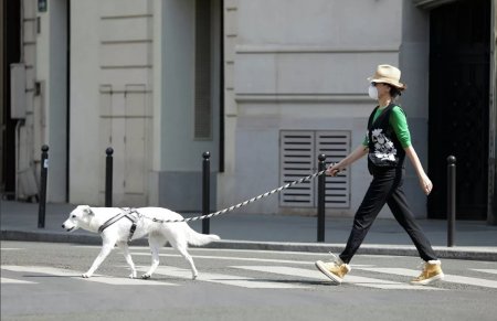 Fransada koronavirusdan ölənlərin sayı 27 mini ötüb