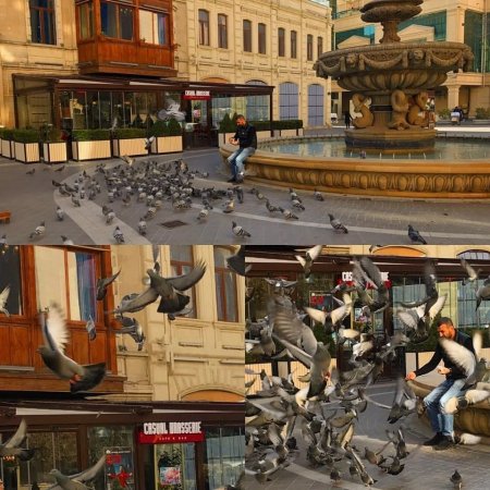 DTX-nın həbs etdiyi rəisin obyekti söküldü - FOTOLAR