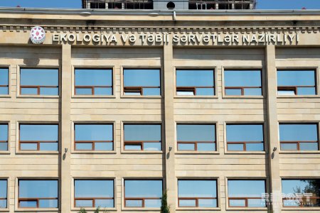 Ekologiya və Təbii Sərvətlər Nazirliyinin səlahiyyətləri artırılıb