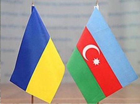 Elmira Axundova etimadnaməsinin surətini Ukrayna XİN başçısının müavininə təqdim edib