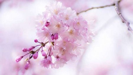 Sabahın hava proqnozu açıqlandı