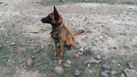 Göygöldə tank əleyhinə raket tapılıb