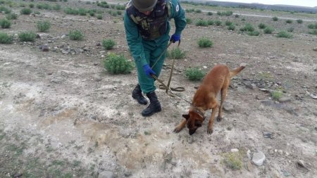 Göygöldə tank əleyhinə raket tapılıb