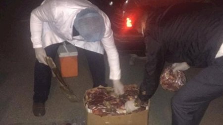 İstifadəyə yararsız 70 kq ət aşkarlandı - Foto