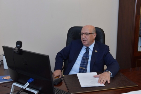 Azərbaycan və Türkiyə parlamentarları arasında onlayn videokonfrans keçirilib - FOTO