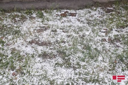 Gürcüstanda azərbaycanlıların yaşadığı kəndlərə güclü dolu yağıb - FOTO