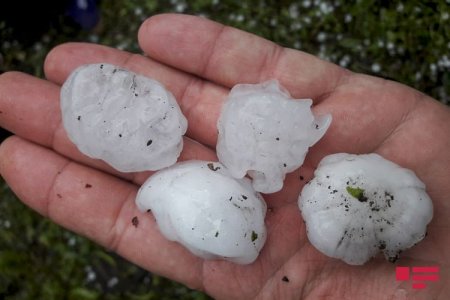 Gürcüstanda azərbaycanlıların yaşadığı kəndlərə güclü dolu yağıb - FOTO