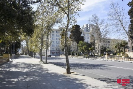 TƏBİB: Həftəsonu küçəyə çıxmanın tam qadağan olunması barədə müraciətimiz qəbul olunub