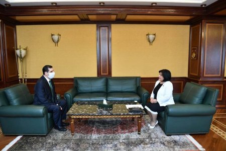 Sahibə Qafarova: “Azərbaycan Türkiyə dostluğu sarsılmazdır”