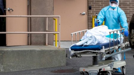 Braziliyada COVID-19-dan ölənlərin sayı 40 mini keçdi