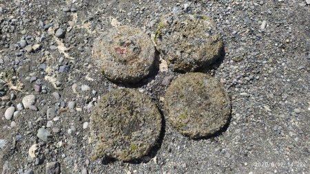 Lənkəranda sahildə 4 ədəd tank əleyhinə mina tapılıb