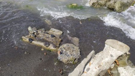 Lənkəranda sahildə 4 ədəd tank əleyhinə mina tapılıb