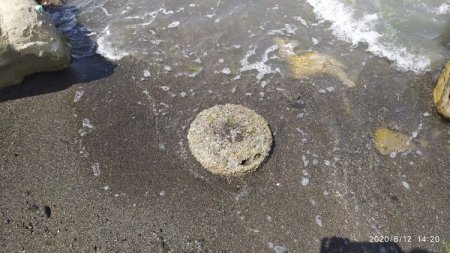 Lənkəranda sahildə 4 ədəd tank əleyhinə mina tapılıb