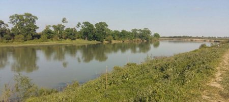 Sabirabadda bir nəfər Kürdə batıb