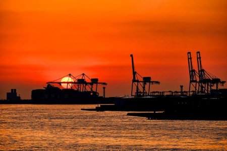 BVF neft qiymətləri üzrə proqnozunu yüksəldib