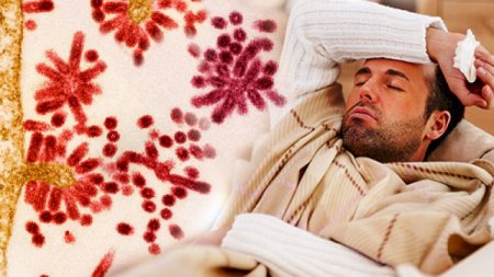 Pandemiyaya səbəb olacaq yeni virus müəyyən edildi - Alimlər narahatdır 