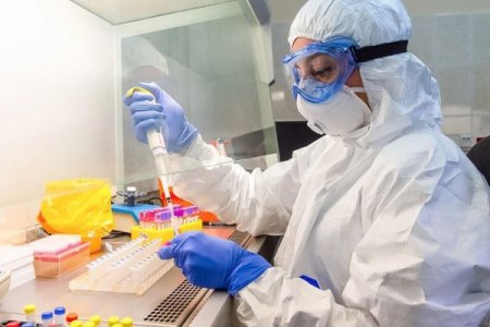 Azərbaycanda koronavirusa daha 572 yoluxma qeydə alınıb, 8 nəfər vəfat edib