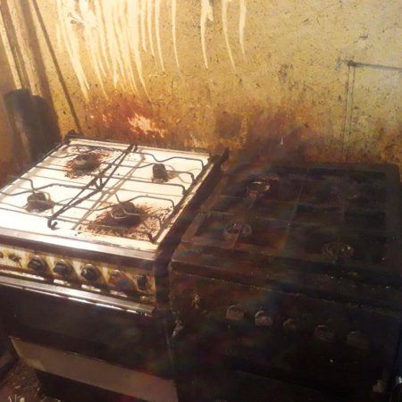  Qazaxda antisanitar şəraitdə fəaliyyət göstərən kafe aşkarlanıb