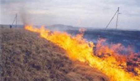 Azərbaycanda qoruq yanır — SON DƏQİQƏ