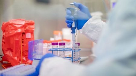 Azərbaycanda daha bir həkim koronavirusdan öldü