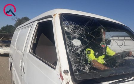 Qorxub yola qaçdı, maşın vurub öldürdü - Foto