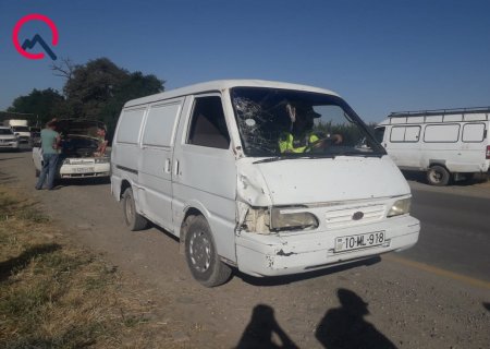 Qorxub yola qaçdı, maşın vurub öldürdü - Foto