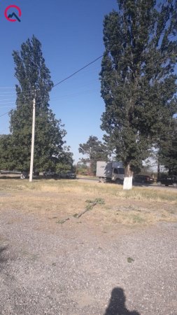 Qorxub yola qaçdı, maşın vurub öldürdü - Foto