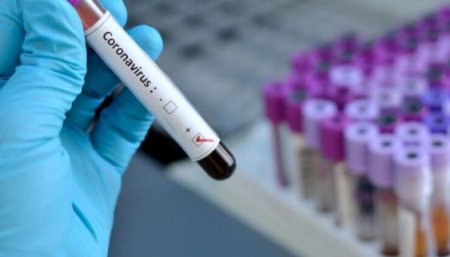 Sağlam bir çevrə üçün əl - ələ verək