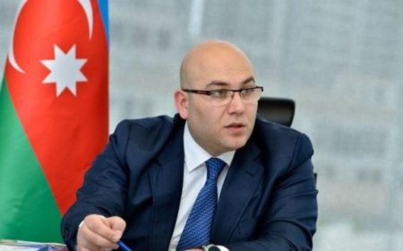 BNA rəhbəri 20 nəfəri işdən çıxardı - Deputat işə qarşdı