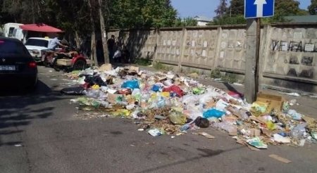 Deyəsən, zibili sonuncu dəfə Vilyam Hacıyevin vaxtında təmizləyiblər Deyəsən, zibili sonuncu dəfə Vilyam Hacıyevin vaxtında təmizləyiblər