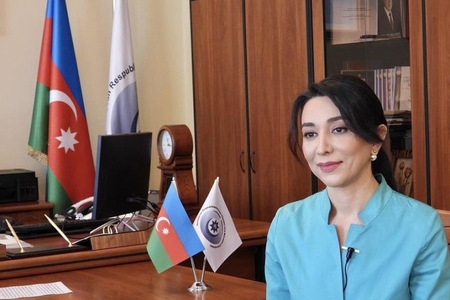 Ombudsman danışdı: “Fəaliyyətimizi davam etdiririk”