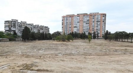 İlham Əliyev və Mehriban Əliyeva meşə tipli yeni parkda görüləcək işlərlə tanış olublar - FOTO