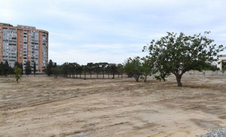 İlham Əliyev və Mehriban Əliyeva meşə tipli yeni parkda görüləcək işlərlə tanış olublar - FOTO