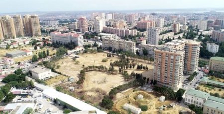 İlham Əliyev və Mehriban Əliyeva meşə tipli yeni parkda görüləcək işlərlə tanış olublar - FOTO