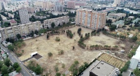 İlham Əliyev və Mehriban Əliyeva meşə tipli yeni parkda görüləcək işlərlə tanış olublar - FOTO