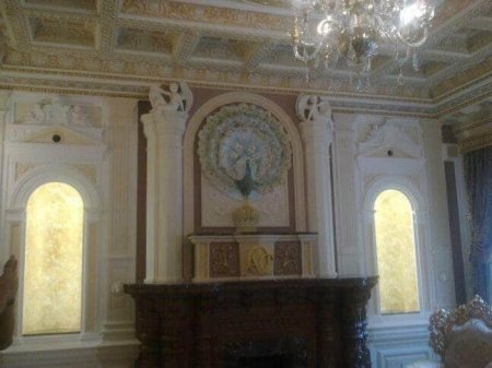 "Azərsu" rəhbərinin saray kimi evi (FOTOLAR)